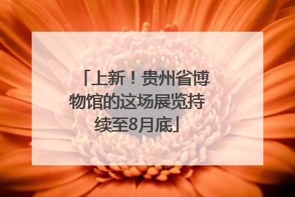 上新！贵州省博物馆的这场展览持续至8月底