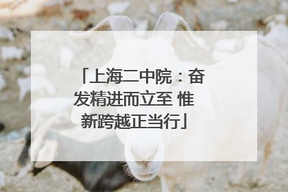 上海二中院：奋发精进而立至 惟新跨越正当行
