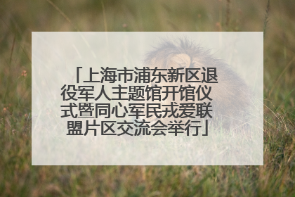 上海市浦东新区退役军人主题馆开馆仪式暨同心军民戎爱联盟片区交流会举行