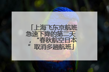 上海飞东京航班急速下降的第二天，“春秋航空日本”取消多趟航班