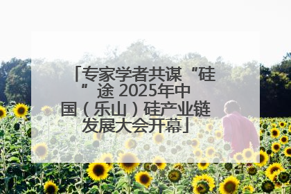 专家学者共谋“硅”途 2025年中国（乐山）硅产业链发展大会开幕