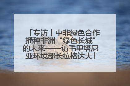 专访丨中非绿色合作播种非洲“绿色长城”的未来——访毛里塔尼亚环境部长拉格达夫