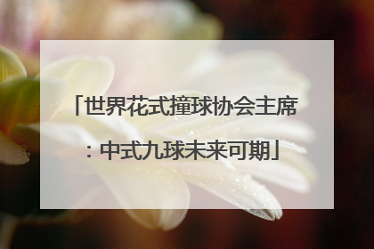 世界花式撞球协会主席：中式九球未来可期