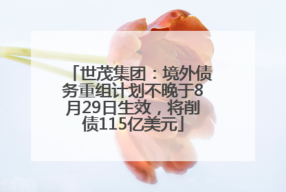 世茂集团：境外债务重组计划不晚于8月29日生效，将削债115亿美元