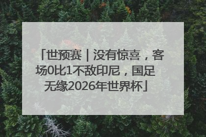世预赛｜没有惊喜，客场0比1不敌印尼，国足无缘2026年世界杯