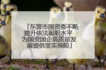 东营市国资委不断提升依法履职水平 为国资国企高质量发展提供坚实保障