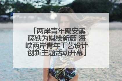 两岸青年聚安溪 藤铁为媒绘新篇 海峡两岸青年工艺设计创新主题活动开幕