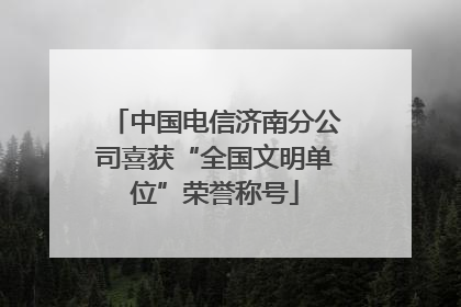 中国电信济南分公司喜获“全国文明单位”荣誉称号