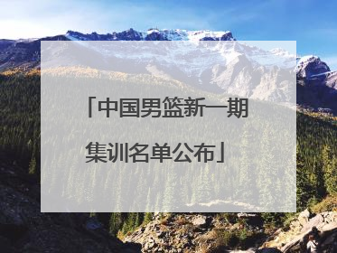 中国男篮新一期集训名单公布