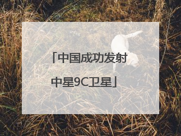 中国成功发射中星9C卫星