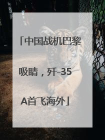 中国战机巴黎吸睛，歼-35A首飞海外