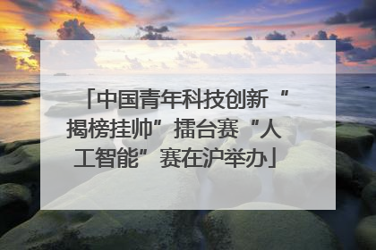 中国青年科技创新“揭榜挂帅”擂台赛“人工智能”赛在沪举办