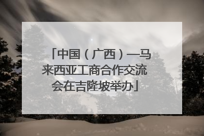 中国（广西）—马来西亚工商合作交流会在吉隆坡举办