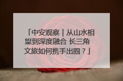 中安观察｜从山水相望到深度融合 长三角文旅如何携手出圈？