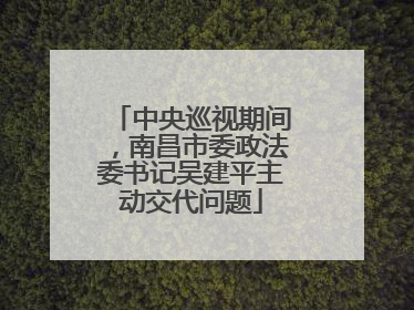 中央巡视期间，南昌市委政法委书记吴建平主动交代问题
