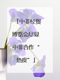 中非经贸博览会尽显中非合作“热度”