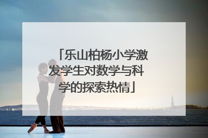 乐山柏杨小学激发学生对数学与科学的探索热情