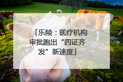 乐陵：医疗机构审批跑出“四证齐发”新速度