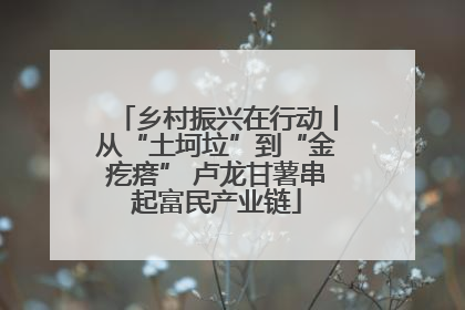 乡村振兴在行动丨从“土坷垃”到“金疙瘩” 卢龙甘薯串起富民产业链