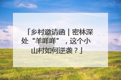 乡村邀请函｜密林深处“羊咩咩”，这个小山村如何逆袭？