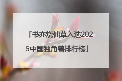 书亦烧仙草入选2025中国独角兽排行榜