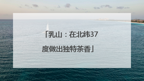 乳山：在北纬37度做出独特茶香