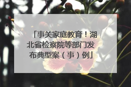 事关家庭教育！湖北省检察院等部门发布典型案（事）例