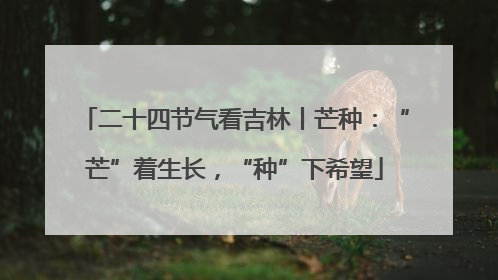 二十四节气看吉林丨芒种：“芒”着生长，“种”下希望