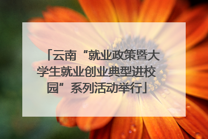 云南“就业政策暨大学生就业创业典型进校园”系列活动举行