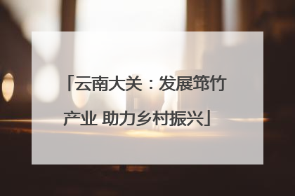 云南大关：发展筇竹产业 助力乡村振兴