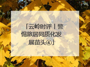云岭时评丨警惕旅居同质化发展苗头④