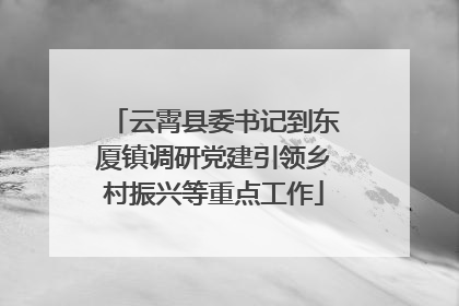 云霄县委书记到东厦镇调研党建引领乡村振兴等重点工作