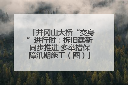 井冈山大桥“变身”进行时：拆旧建新同步推进 多举措保障汛期施工（图）