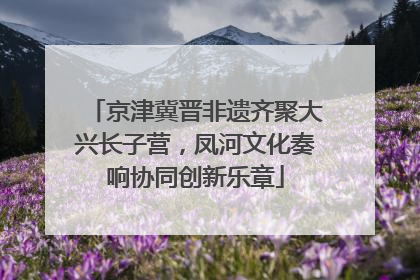 京津冀晋非遗齐聚大兴长子营，凤河文化奏响协同创新乐章