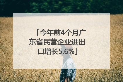 今年前4个月广东省民营企业进出口增长5.6%