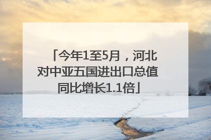 今年1至5月，河北对中亚五国进出口总值同比增长1.1倍