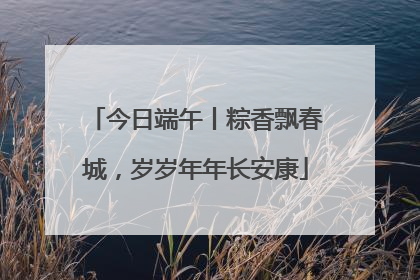 今日端午丨粽香飘春城，岁岁年年长安康