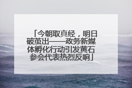 今朝取真经，明日破茧出——政务新媒体孵化行动引发黄石参会代表热烈反响