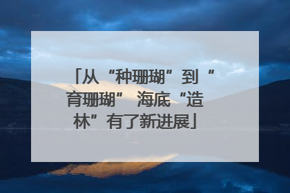 从“种珊瑚”到“育珊瑚” 海底“造林”有了新进展