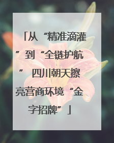 从“精准滴灌”到“全链护航” 四川朝天擦亮营商环境“金字招牌”