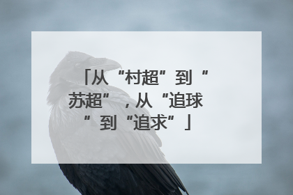 从“村超”到“苏超”，从“追球”到“追求”