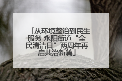 从环境整治到民生服务 永阳街道“全民清洁日”两周年再启共治新篇