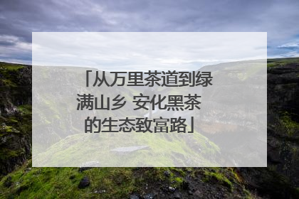 从万里茶道到绿满山乡 安化黑茶的生态致富路