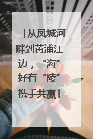 从凤城河畔到黄浦江边，“海”好有“陵”携手共赢
