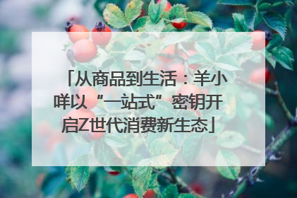 从商品到生活：羊小咩以“一站式”密钥开启Z世代消费新生态