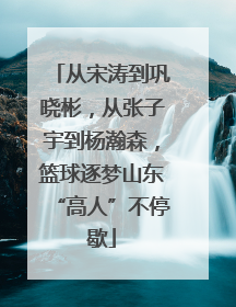 从宋涛到巩晓彬，从张子宇到杨瀚森，篮球逐梦山东“高人”不停歇