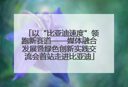 以“比亚迪速度”领跑新赛道——媒体融合发展暨绿色创新实践交流会首站走进比亚迪