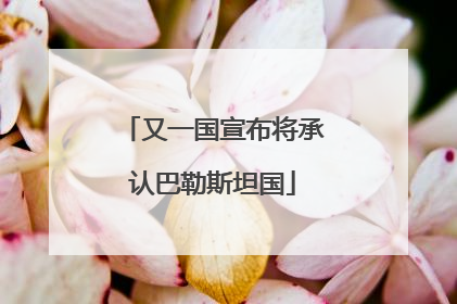 又一国宣布将承认巴勒斯坦国