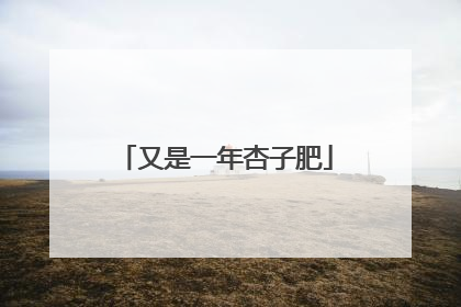 又是一年杏子肥