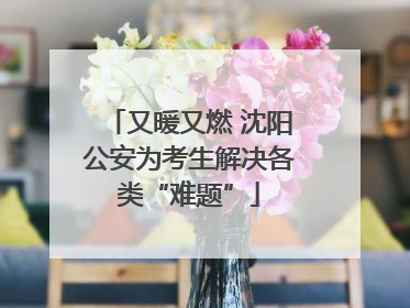 又暖又燃 沈阳公安为考生解决各类“难题”